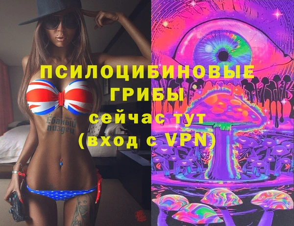 ALPHA-PVP Богородицк