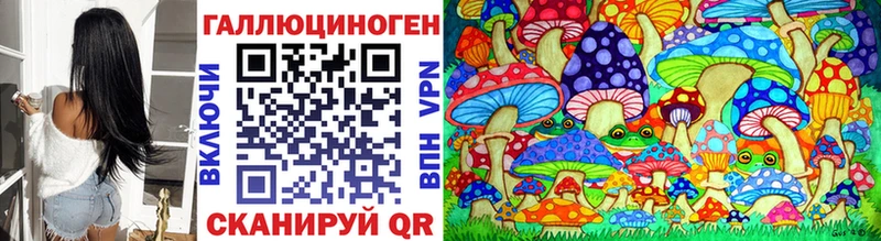 Псилоцибиновые грибы прущие грибы  Купить закладки  Константиновск 