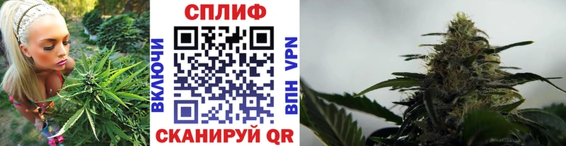 Купить закладки  Константиновск  Канабис THC 21% 